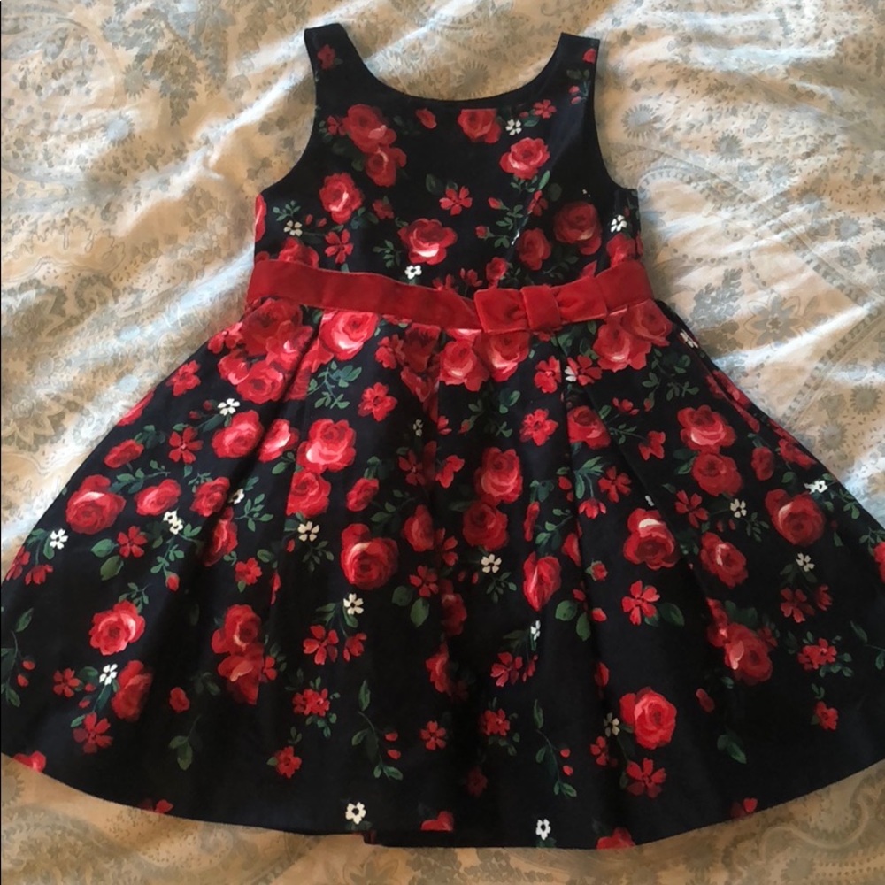 Janie and Jack Navy and Red Floral Dress